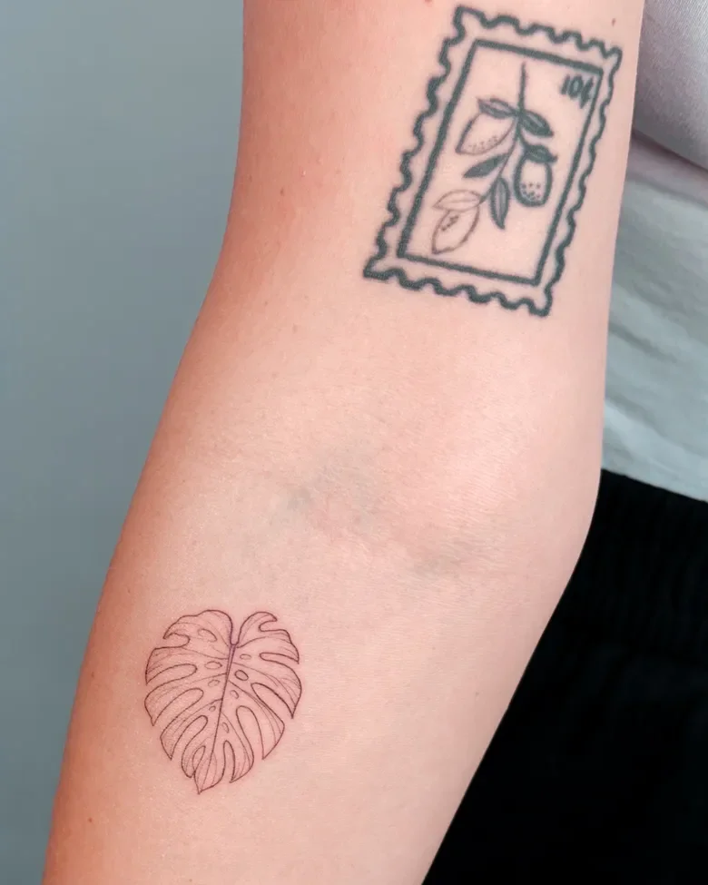 Fine line monstera leaf and botanical postage stamp by Hugo Gonzalez