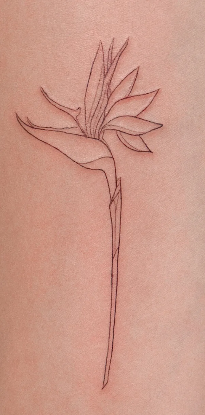 Fine line flower tattoo by Hugo Gonzalez