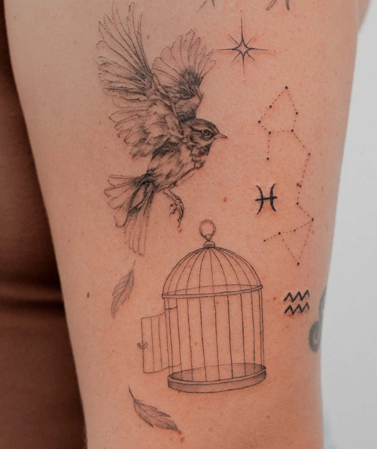 Bird cage and constellations tattoo by Hugo Gonzalez