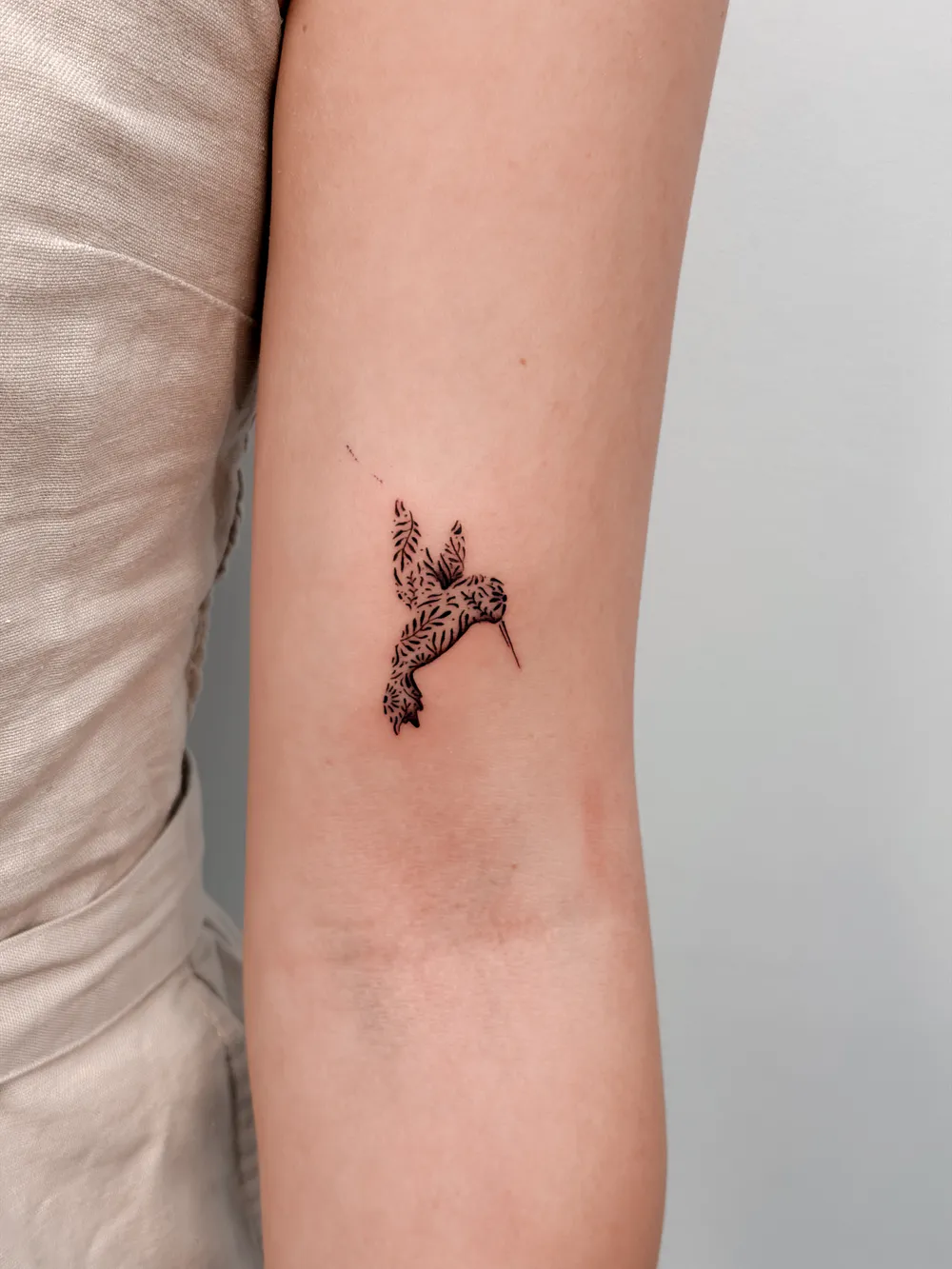 Fine line hummingbird by Hugo Gonzalez